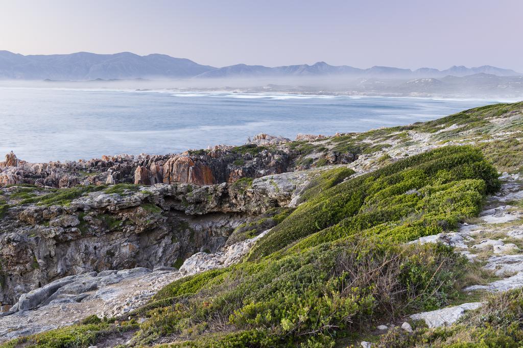 Whalesong Lodge Gansbaai Exterior photo