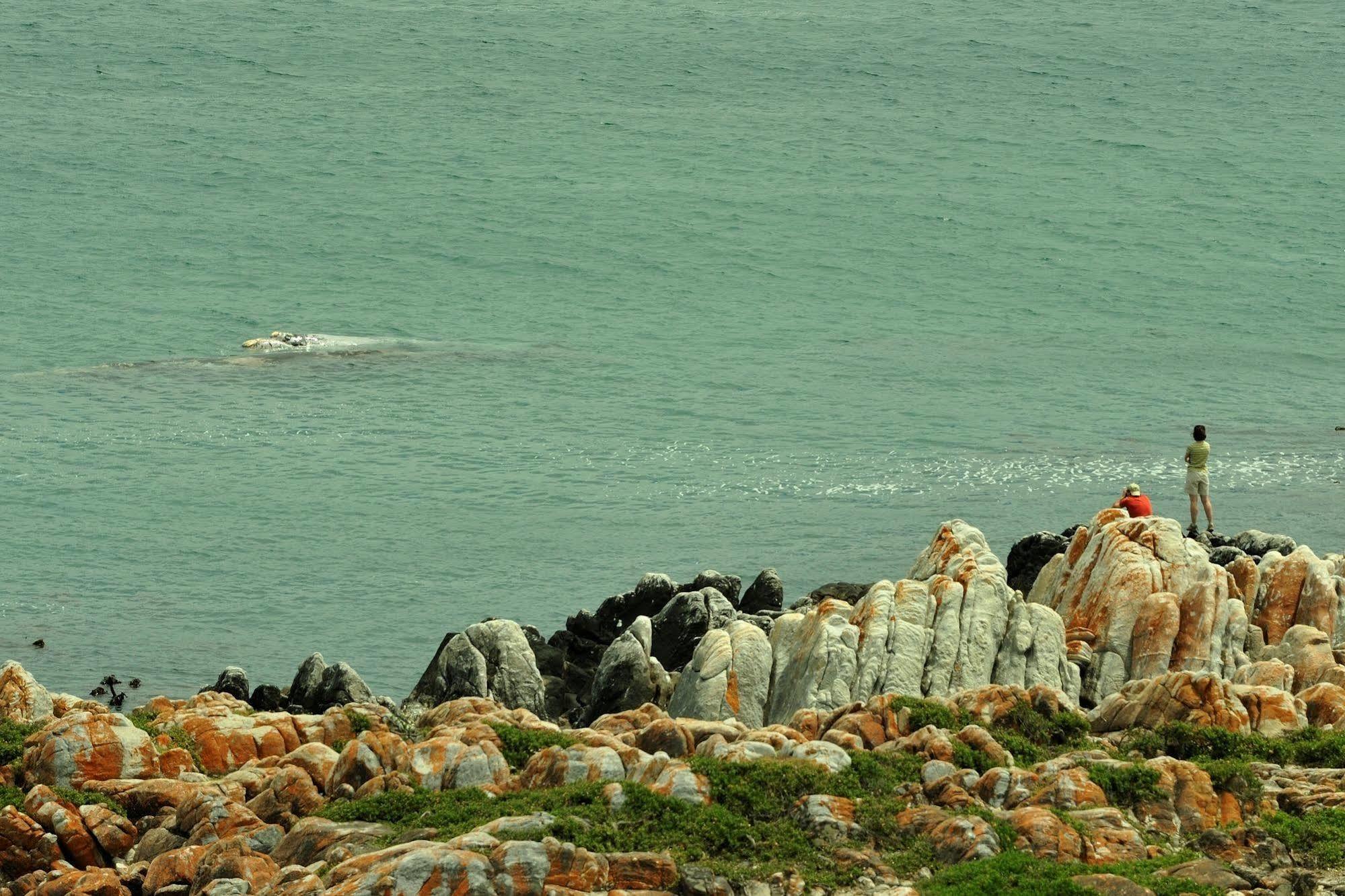 Whalesong Lodge Gansbaai Exterior photo